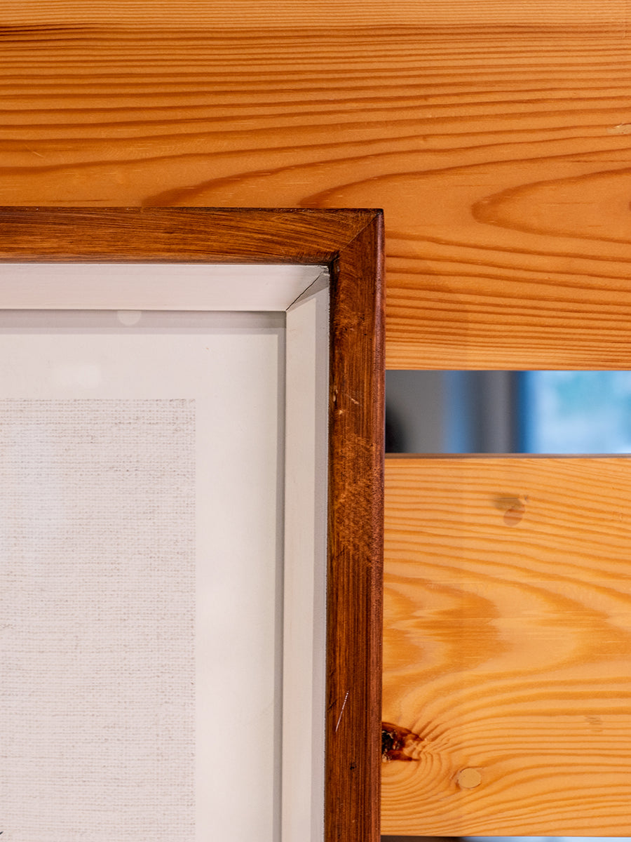 Fir Framed Wall Art w/ Cactus Image, Blue