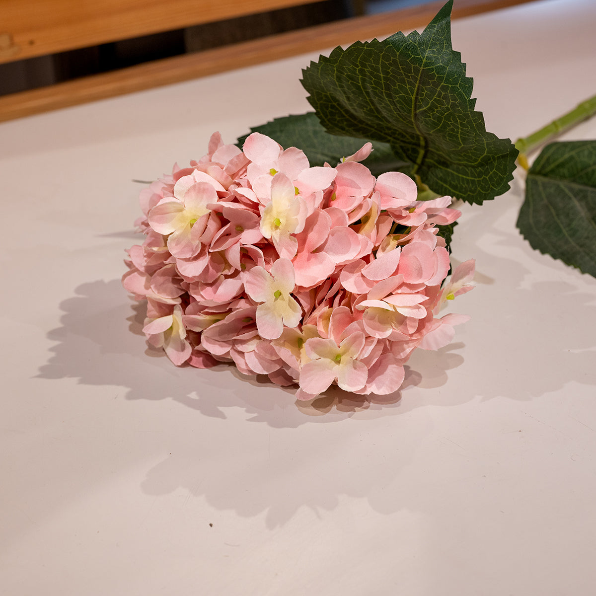 Hydrangea, Pink