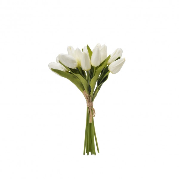Mini Tulip, 12 Flowers, White