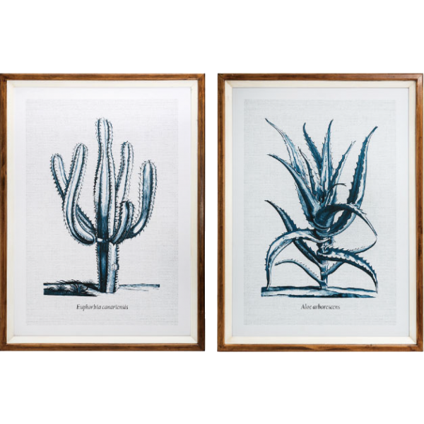 Fir Framed Wall Art w/ Cactus Image, Blue, 2 Styles 