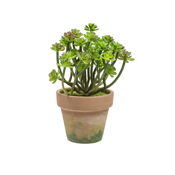 Artificial Plant in Pot Style - 1