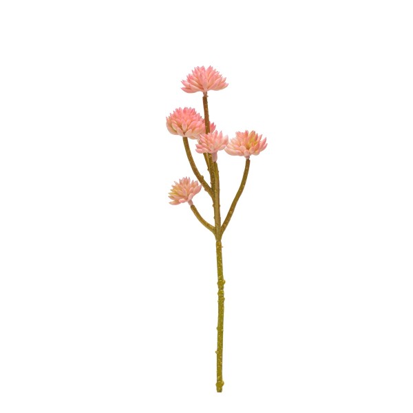 Small Lotus Flower, Pink                  