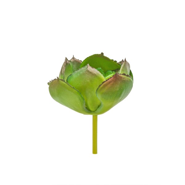 Small Gem Lotus Flower, Green           