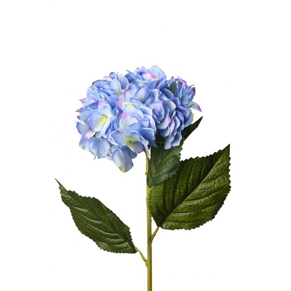Flower Single Blue