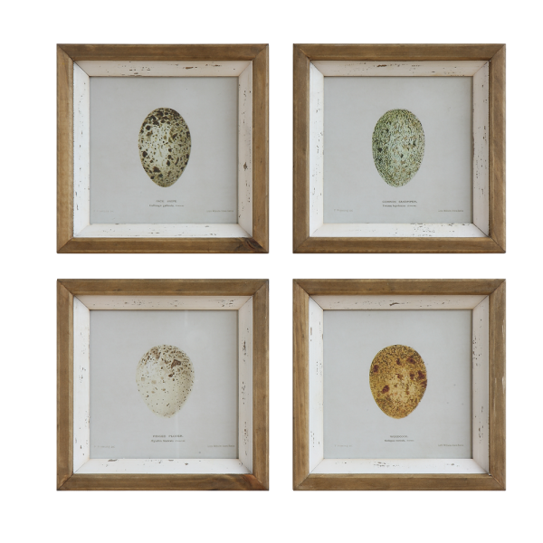 Fir Framed Wall Art with Egg Image, Distressed White, 4 Styles