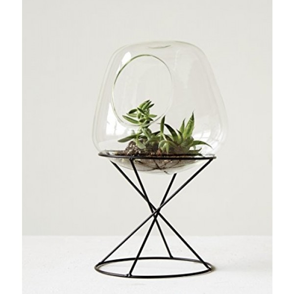 Glass Terrarium w/ Metal Stand