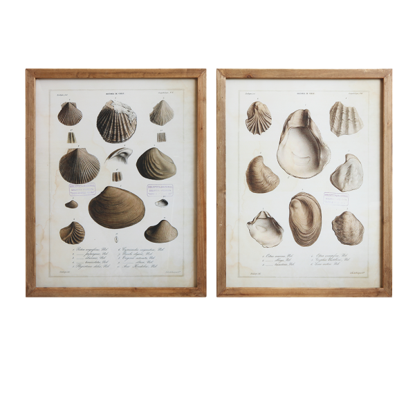 WOOD FRAMED WALL ART WITH SHELLS